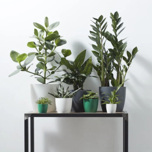 Cache-pot Brussels Round anthracite ELHO - Image 3