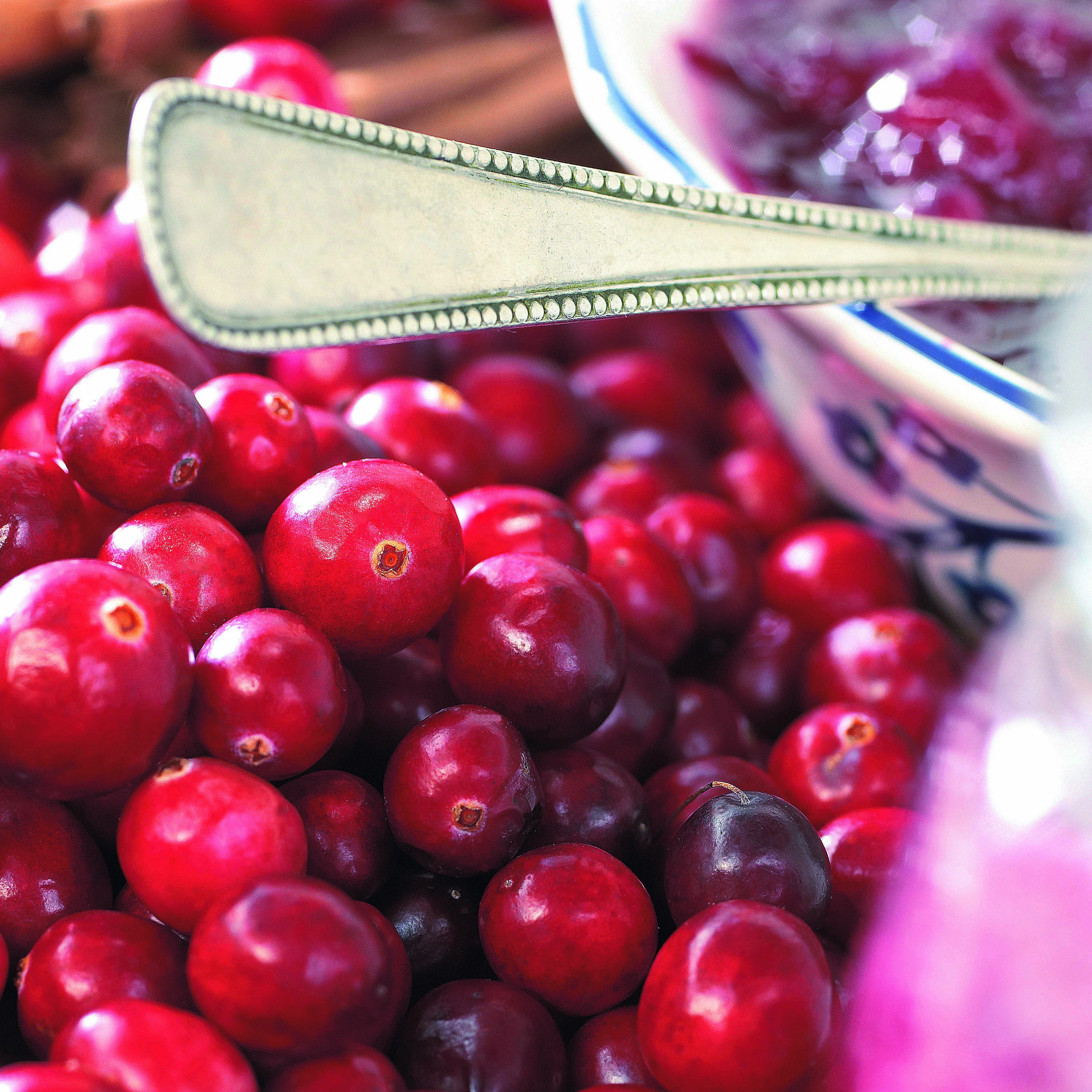 Canneberge - Cranberry - Image 5