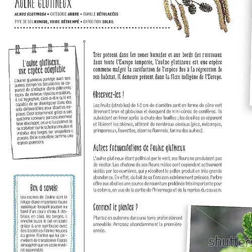 Faites entrer la biodiversité dans votre jardin - Image 4