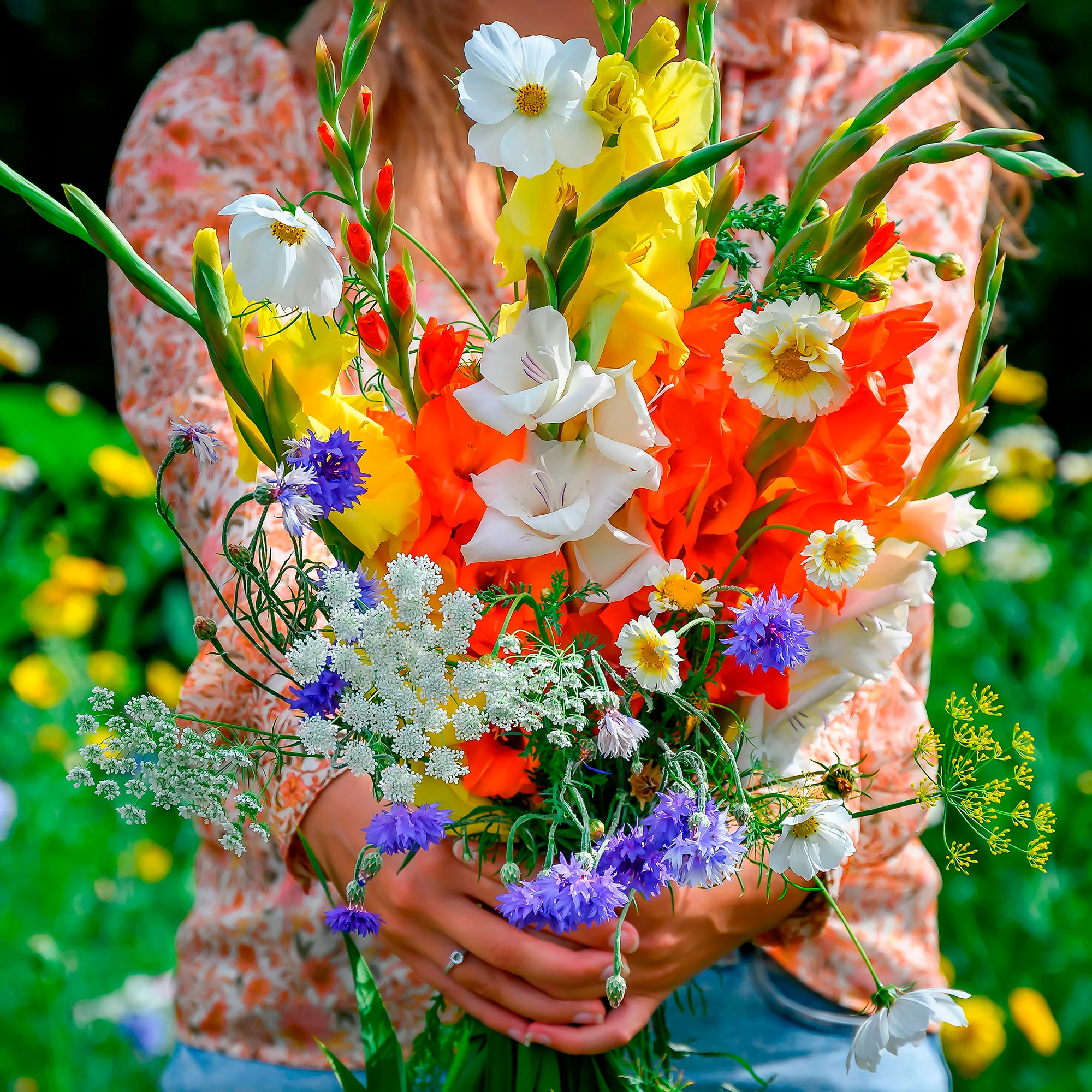 Glaïeul et mélange de graines de fleurs - Image 3