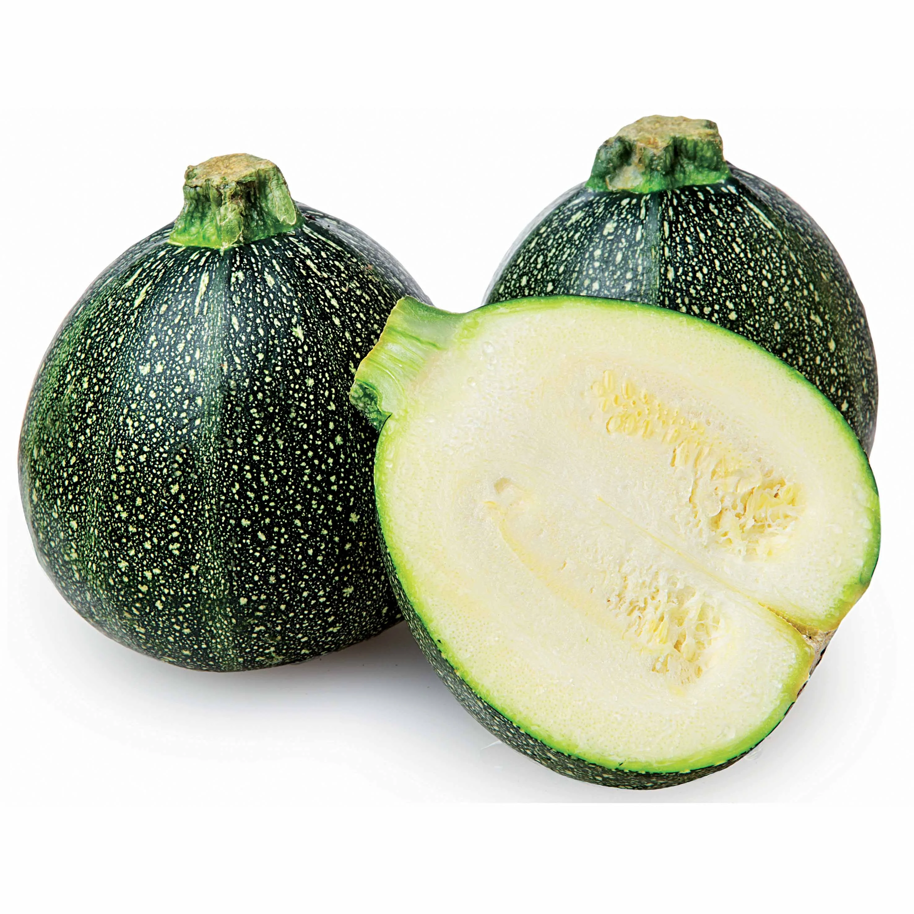 Courgette De Nice à fruits ronds - Image 5