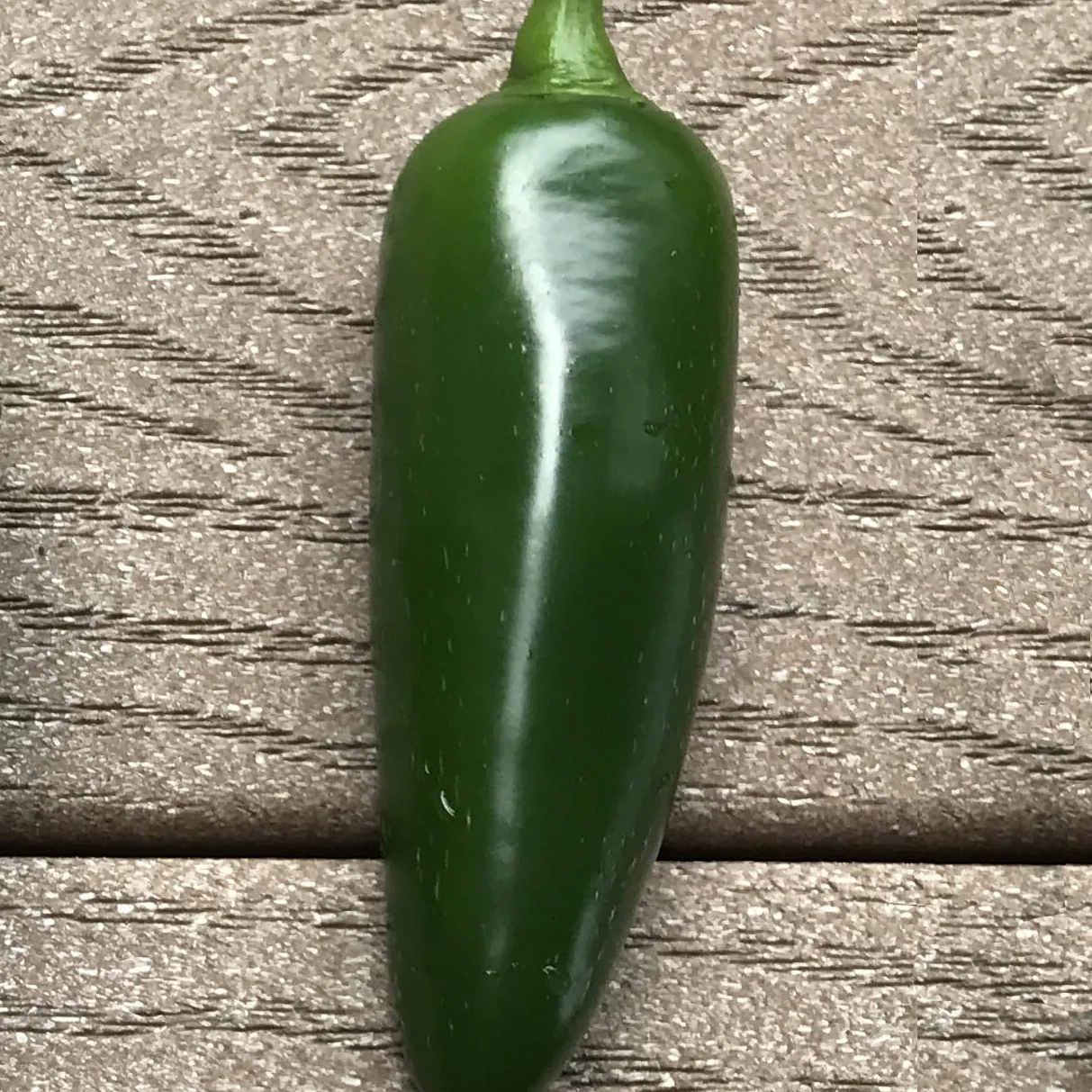 Piment Jalapeno mexicain BIO
