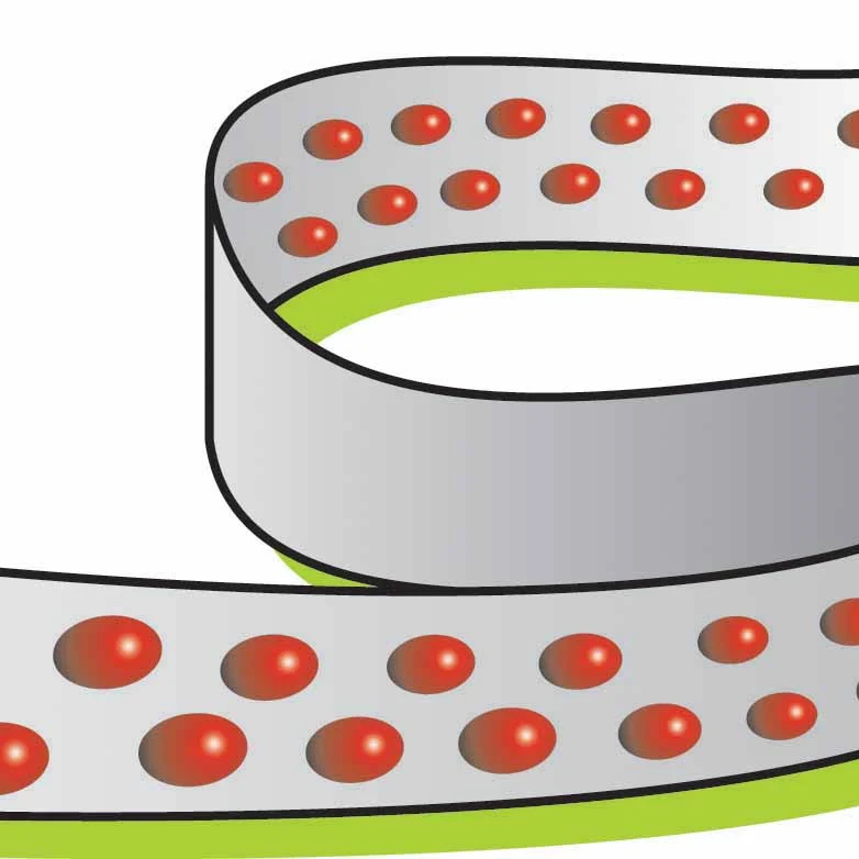 Radis rond National 3 (ruban) - Image 2