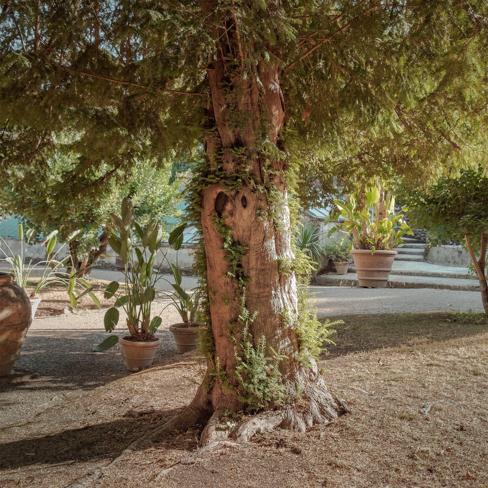 If commun - Image 5