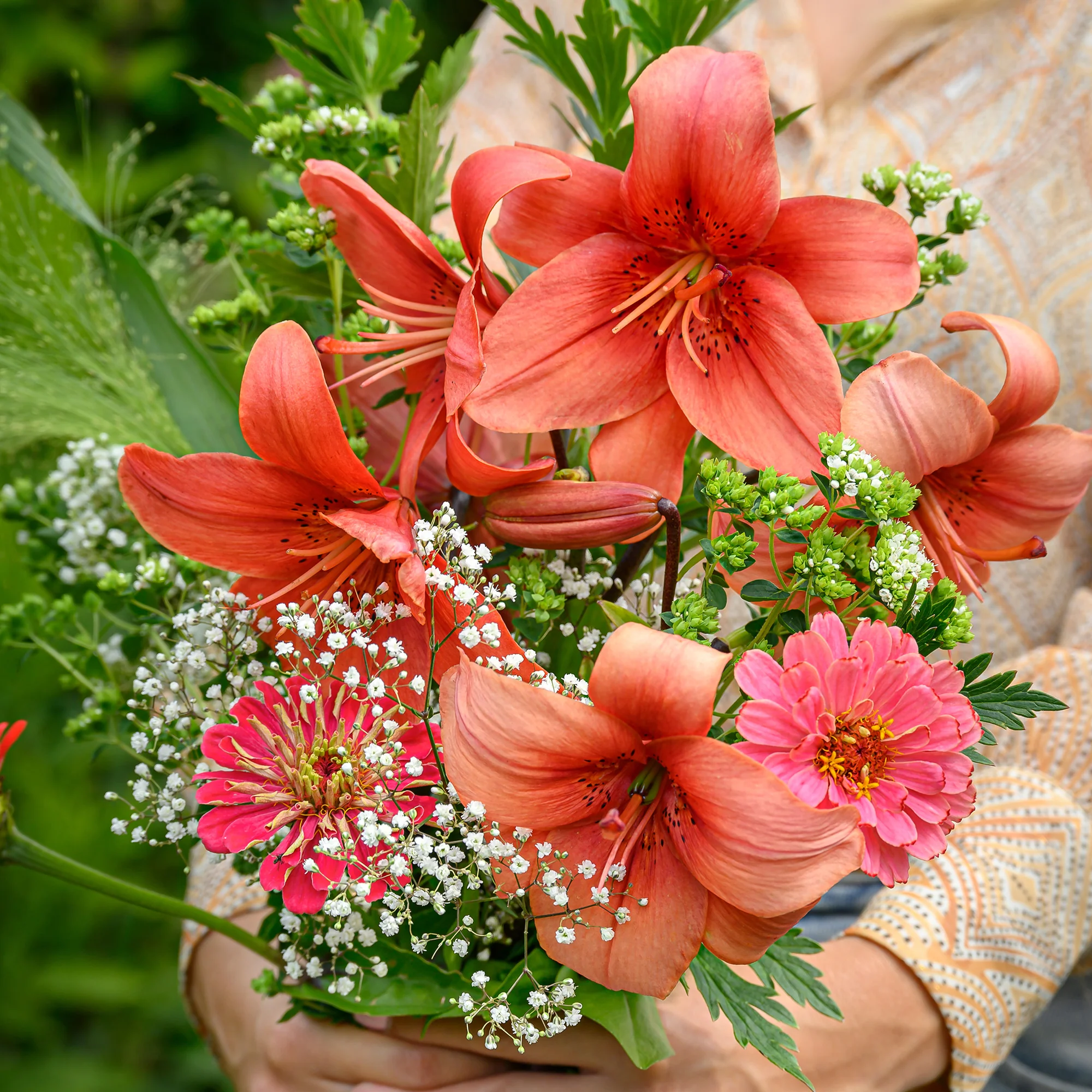 Lis asiatique rouge et mélange de graines de fleurs - Image 4