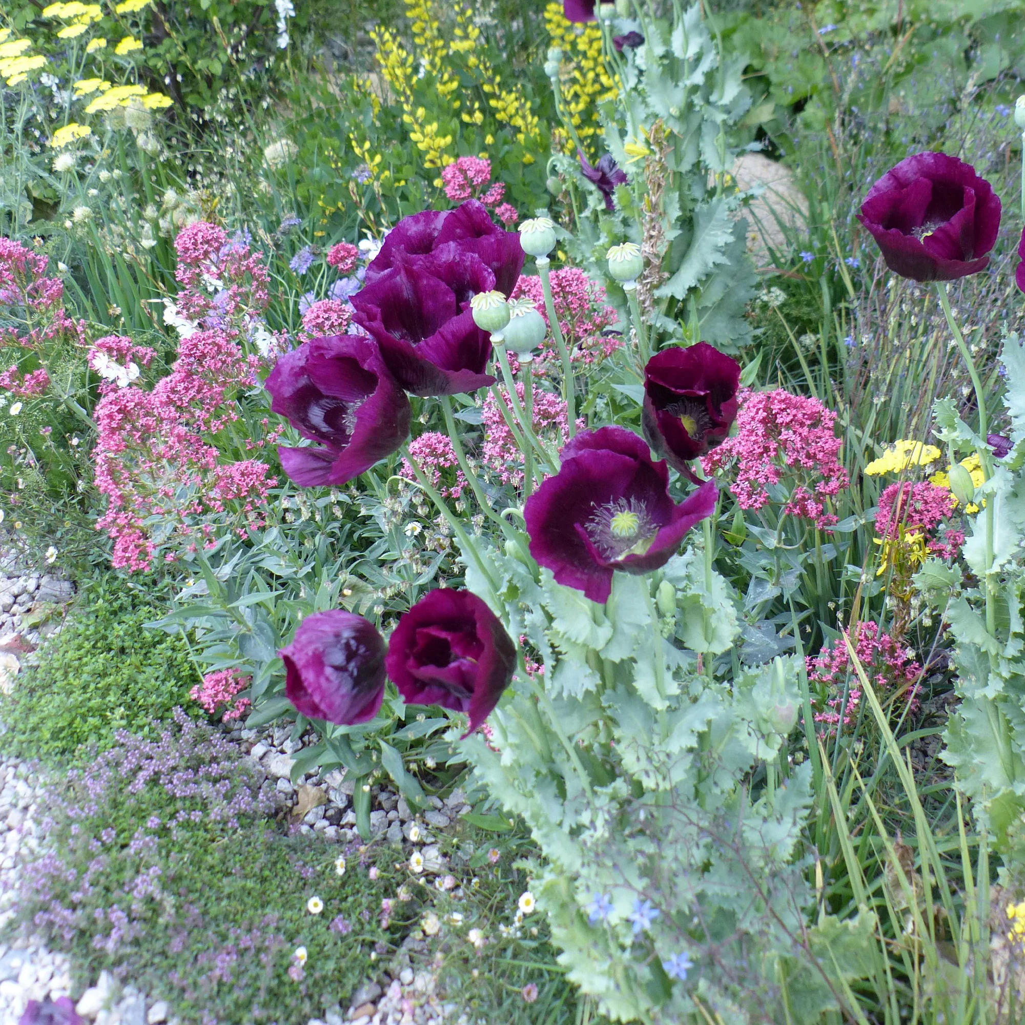 Miniature 1