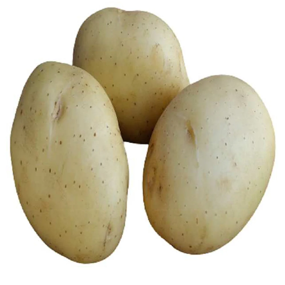 25 Pommes de terre Vitabella Bio