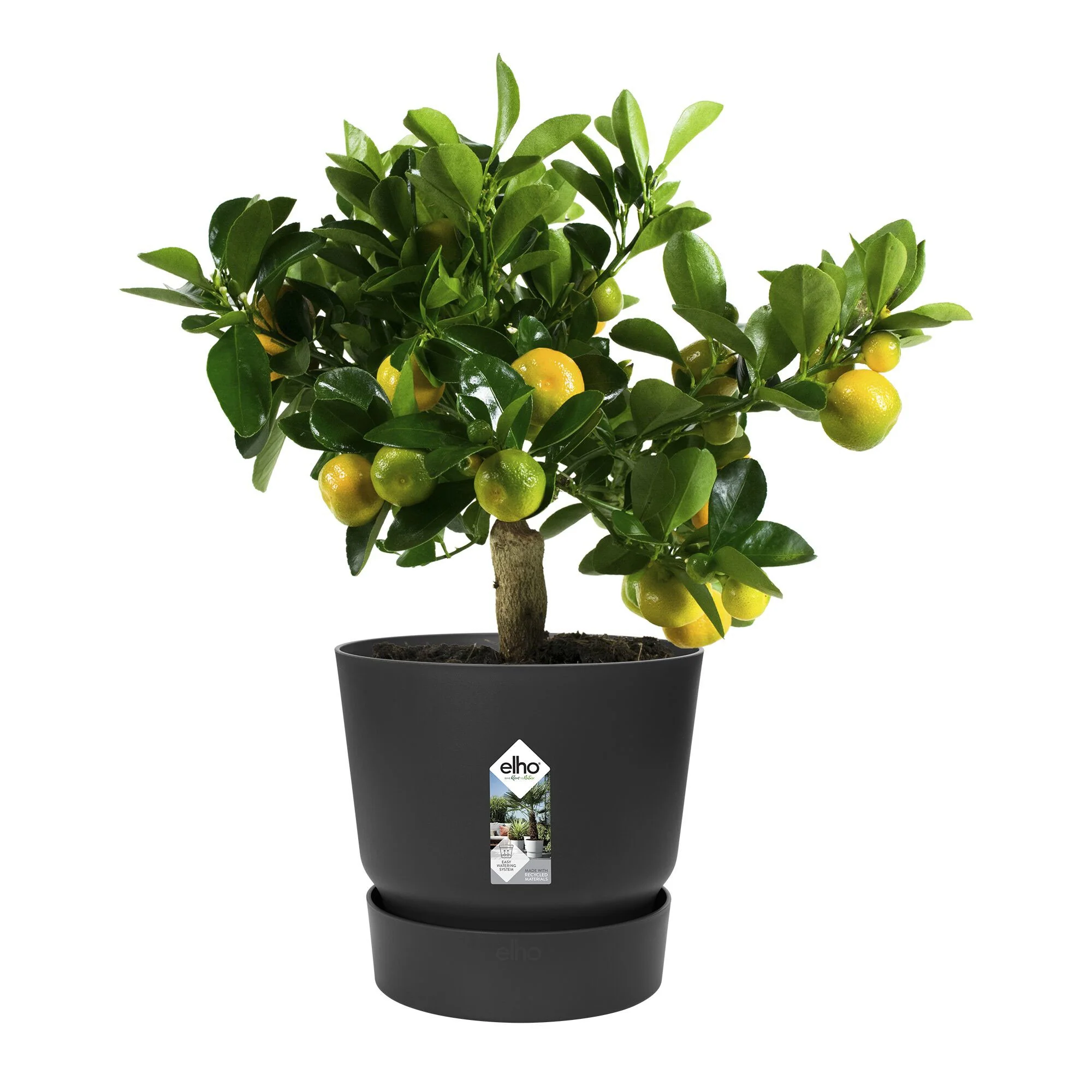 Pot de fleurs Greenville Living noir ELHO - Image 2