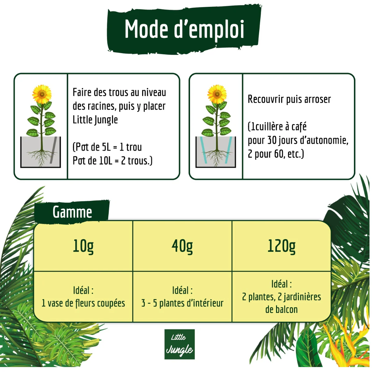 Rétenteur d'eau pour plantes d'intérieur BERGER WORLD - Image 4