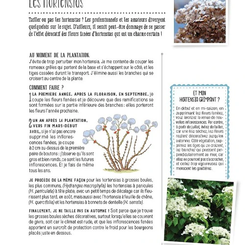 Taillez vos arbres et vos arbustes - Image 3